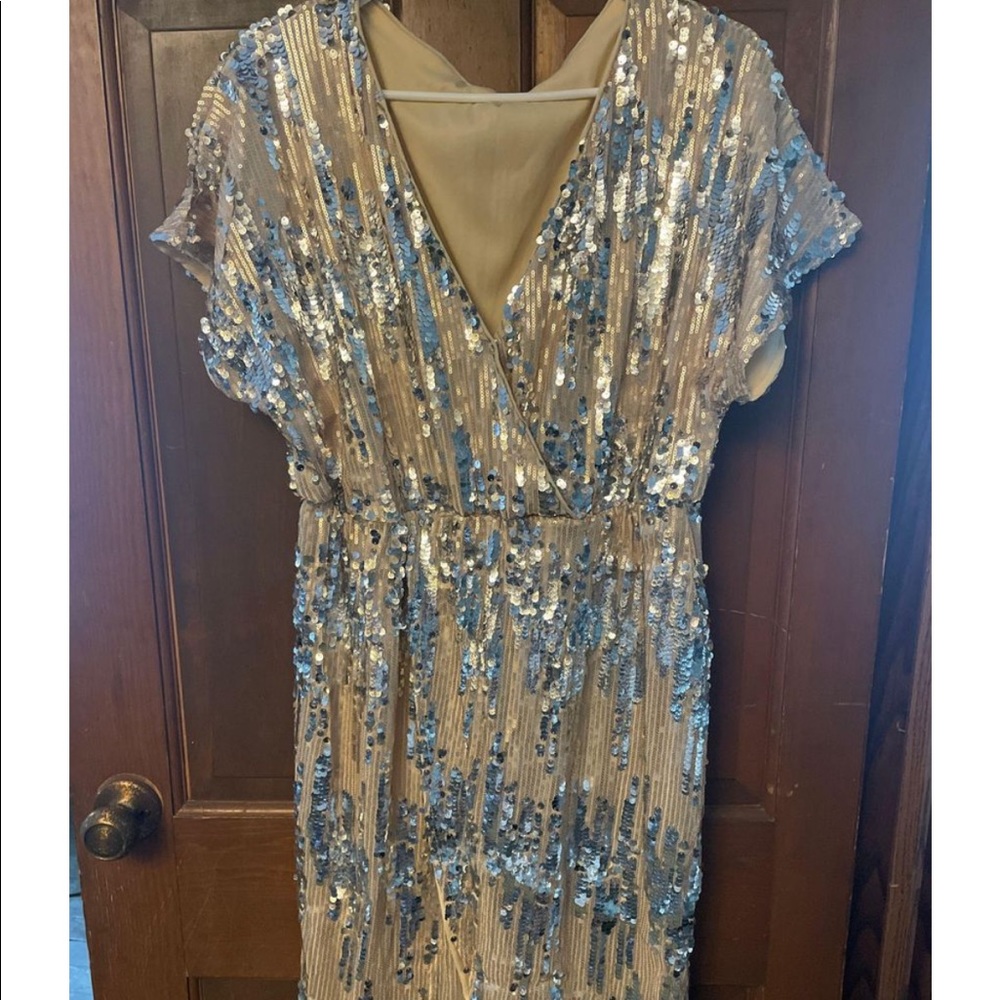 Gorgeous holiday dress